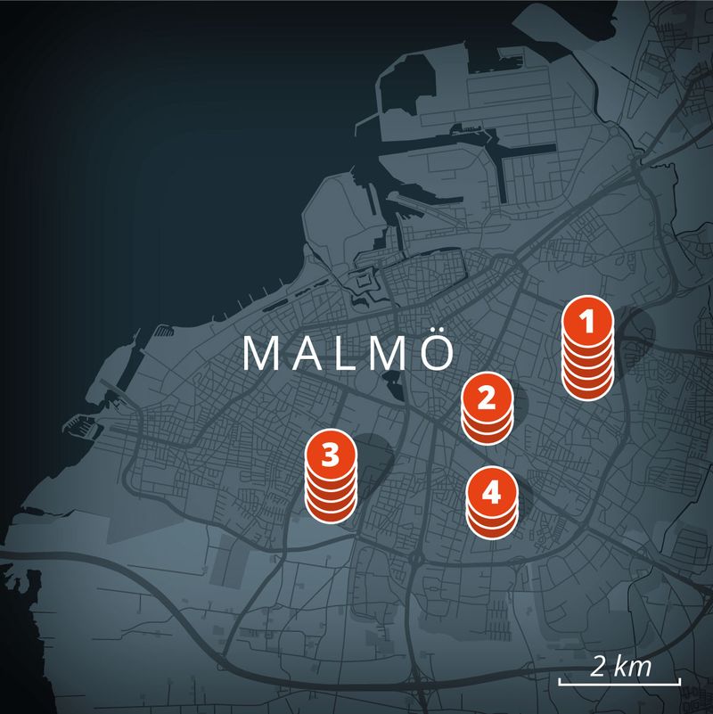 malmo gang